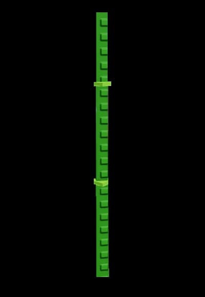 Bamboo