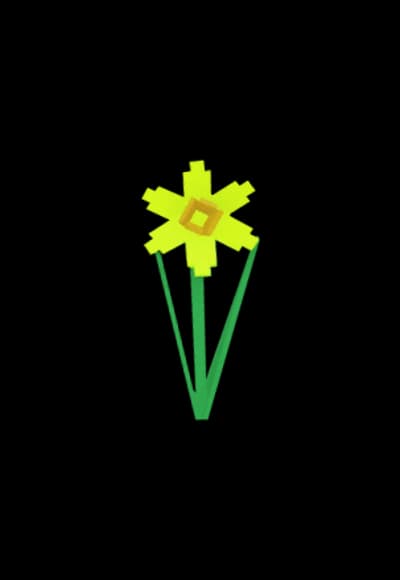 Daffodil