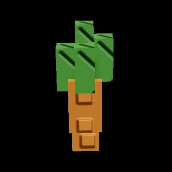 Carrot