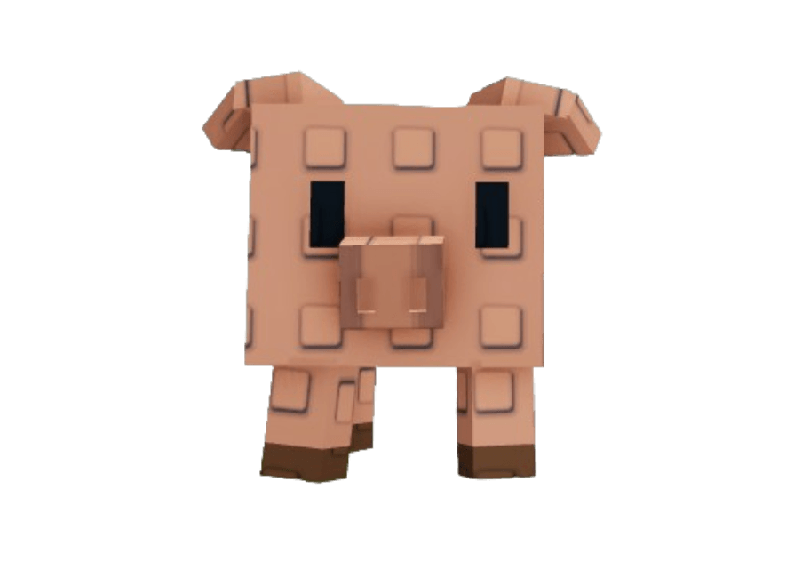 Pig