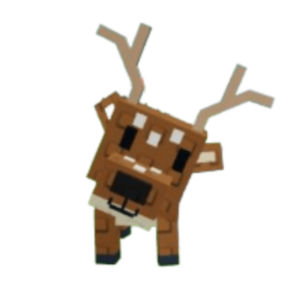 Spotted Deer