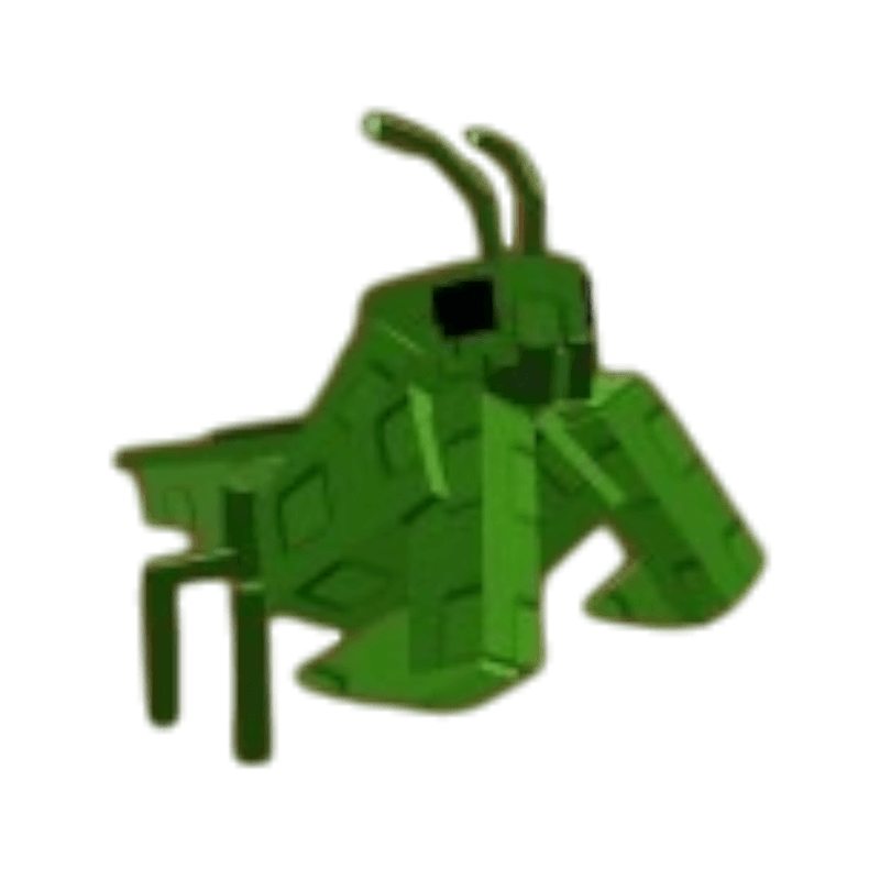 Praying Mantis