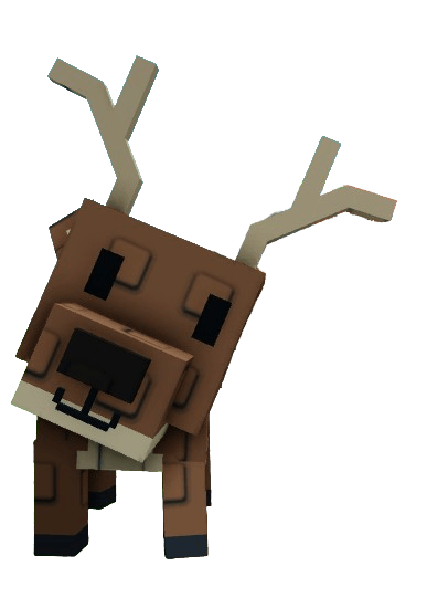 Deer