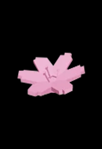 Cherry Blossom
