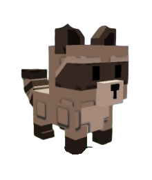 Raccoon