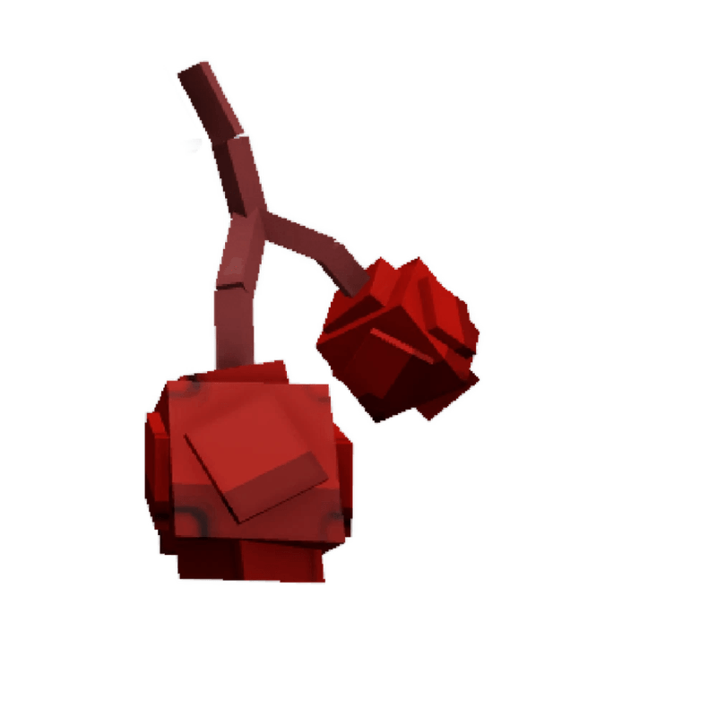 Cranberry